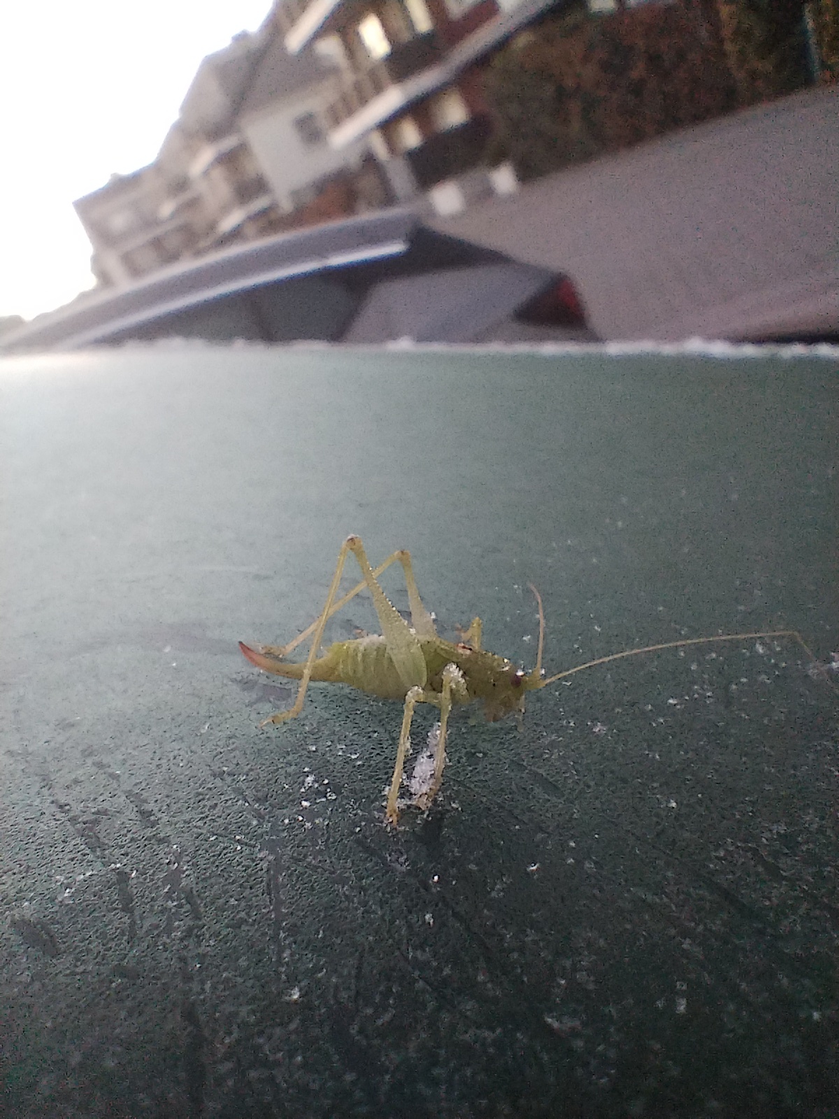 b8312785-8f4a-42d7-b438-9c5d60270612