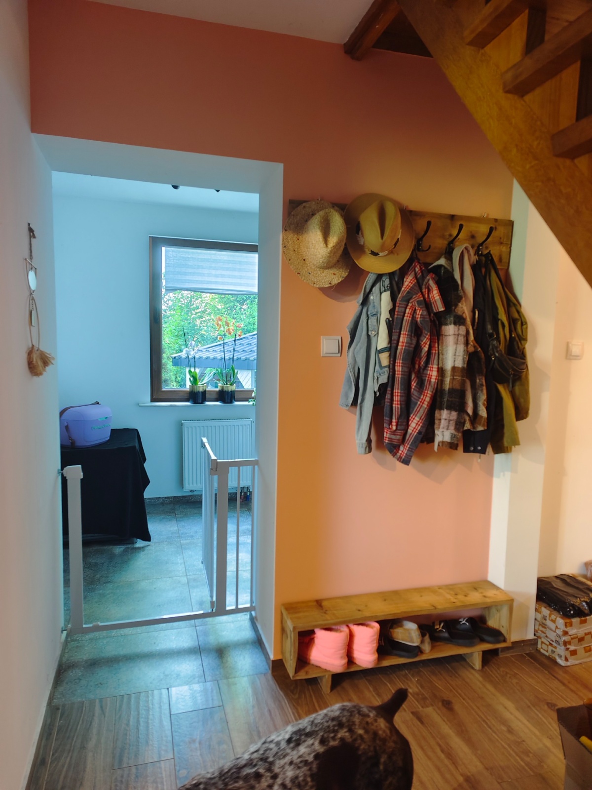 066d347f-0f76-4514-95fe-212414555f0a