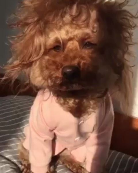 f63d9bb3-d178-4ab3-adb6-9a85e1492d79