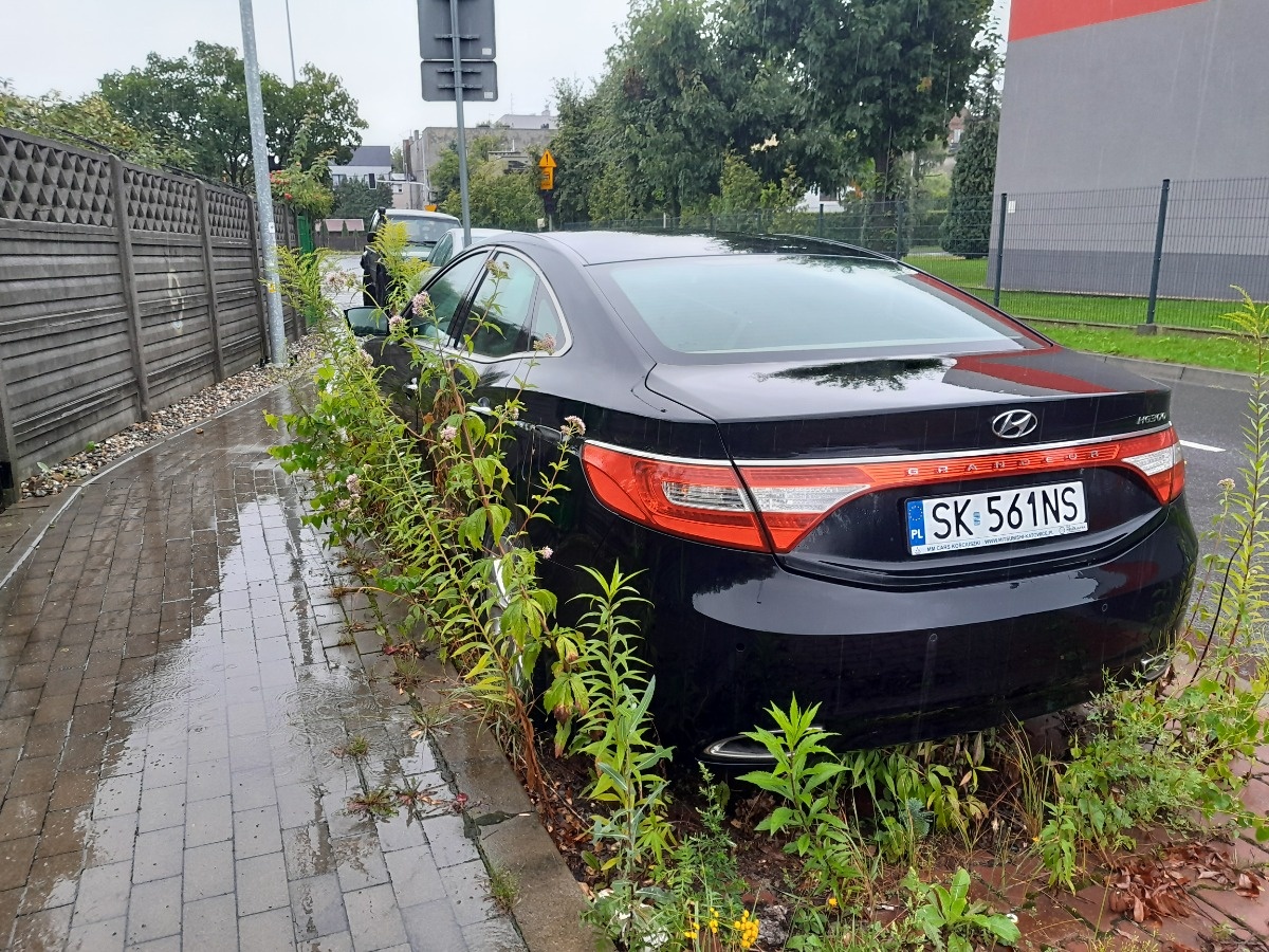 05605846-86ac-4737-99bd-b6de6c618ead