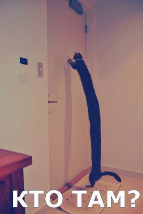 efcc3db4-4bbe-43d4-98ab-0b9bca11e88a