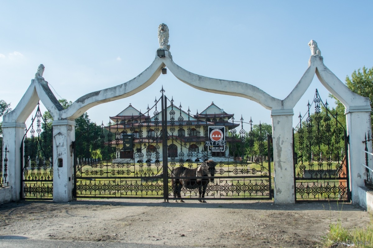 76929467-5c9a-4334-9d83-0e1e0a49c873