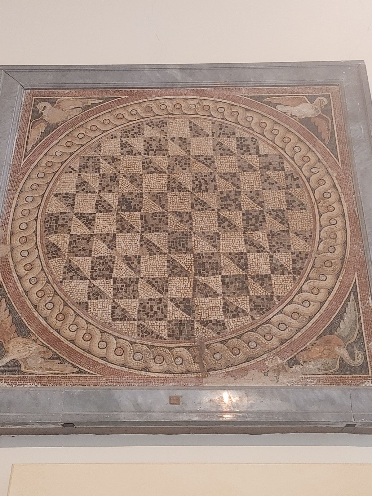 b5f26e28-8b74-4705-9b96-b939c891fd31