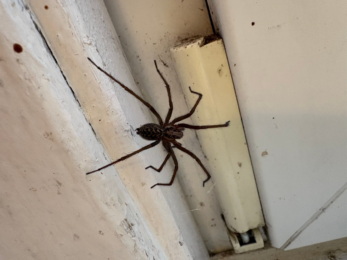 3aa2c48f-231e-4caf-b05e-cebd7c60f659