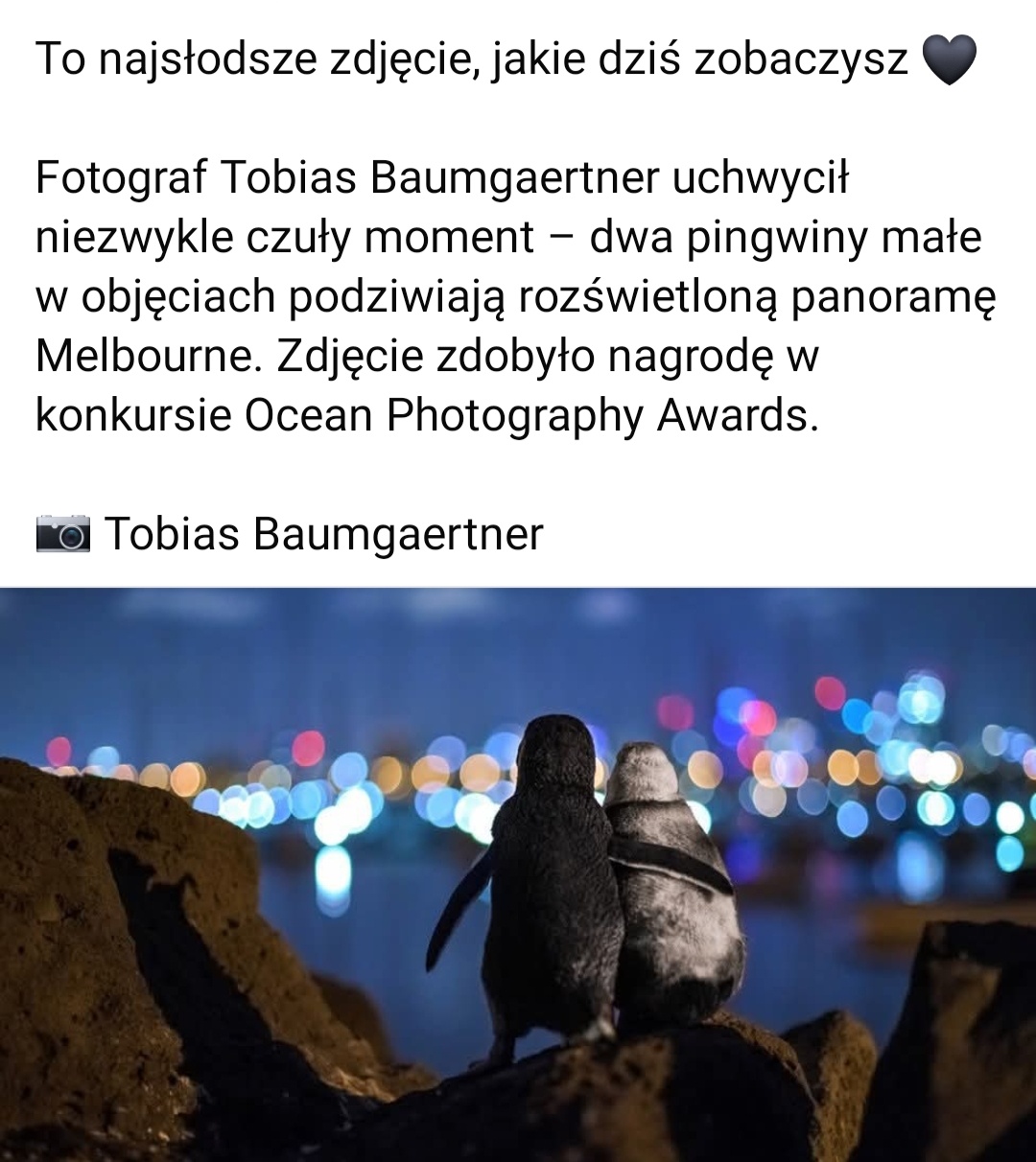 f502e21d-2293-48b8-a09a-9cb44ddfe781