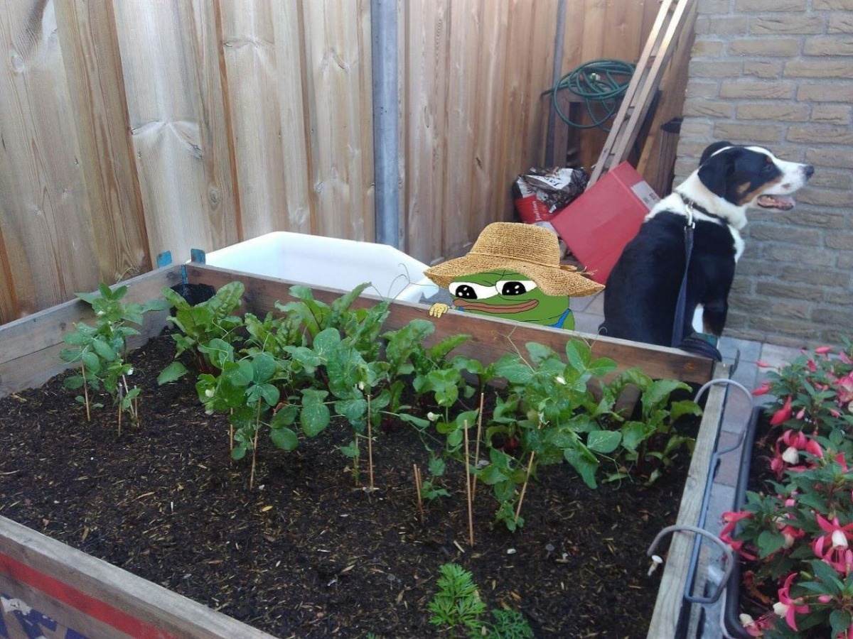 e4ce12ab-cc3f-4e0e-bafe-9bd81ab953eb