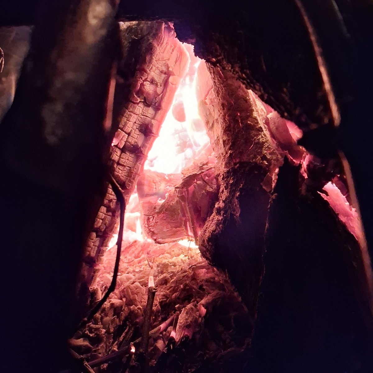 06c9d2fe-1022-41a0-9588-60af5d76856c