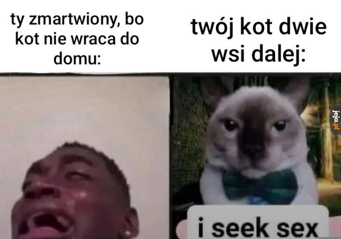 cfb2311c-6f75-49a2-8233-41cace677112