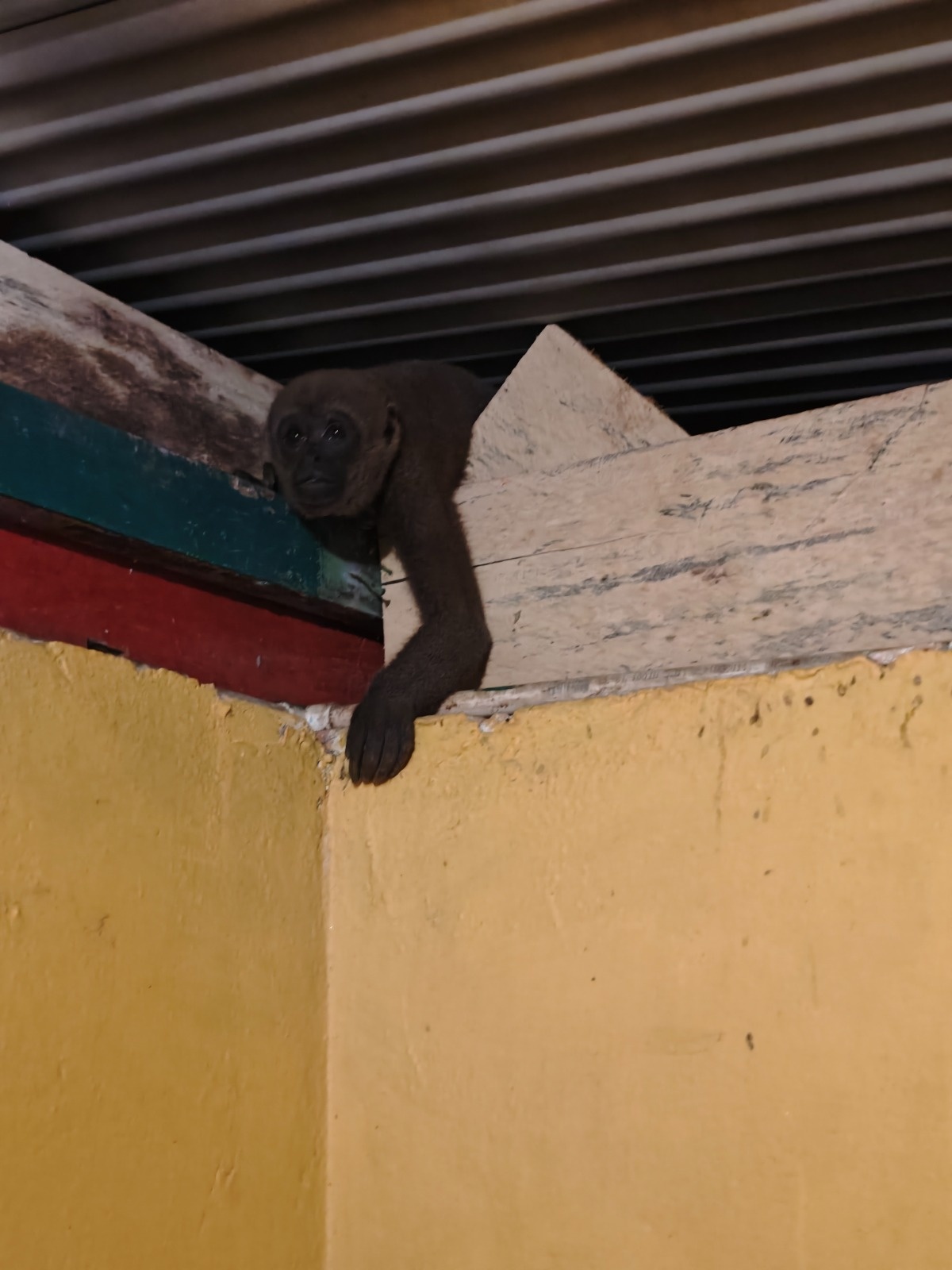 dc0738c1-1524-4210-ac14-b1c7b5ecd461