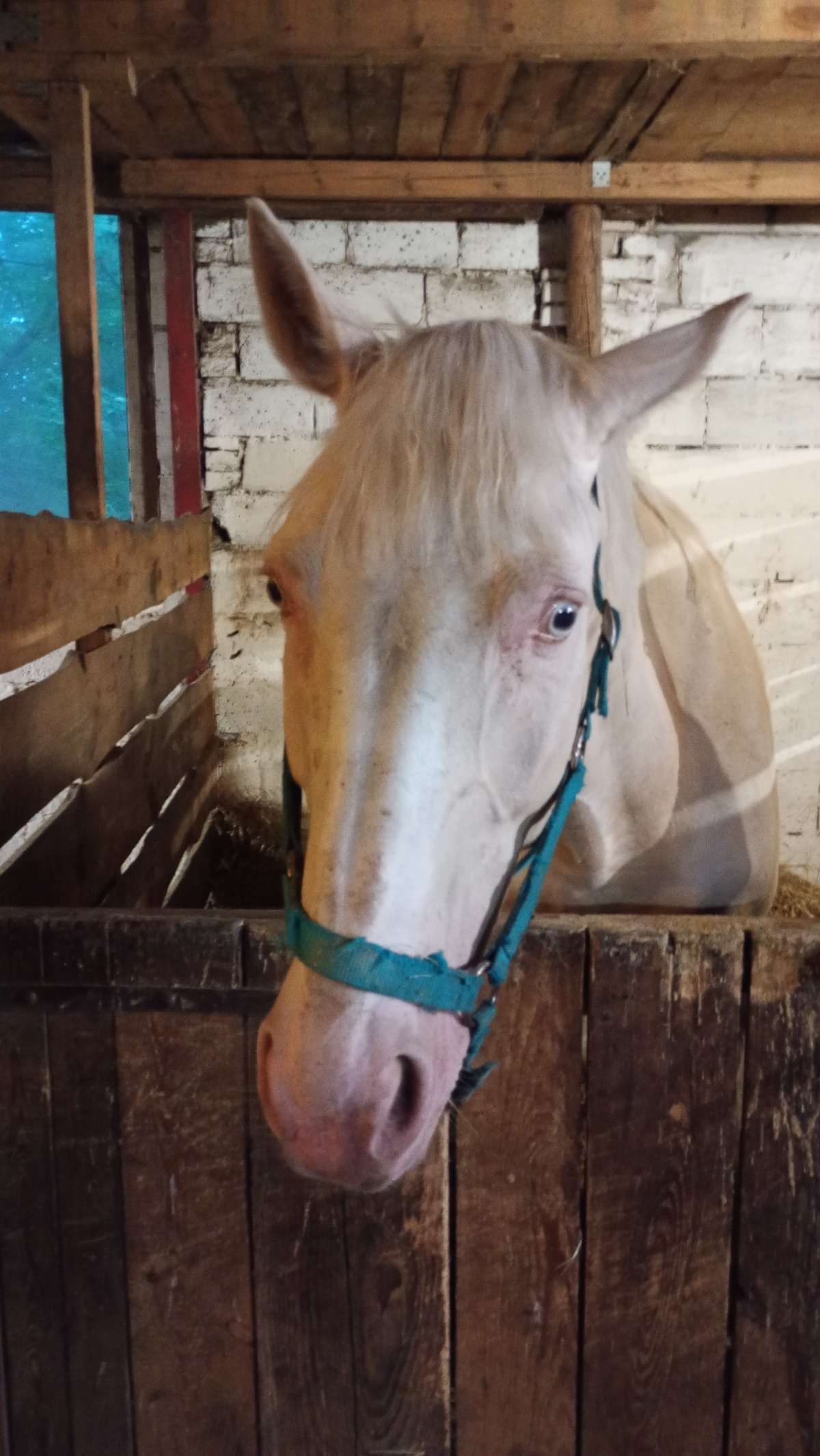 cc760624-6072-4090-a4a4-6db4c1d1589e