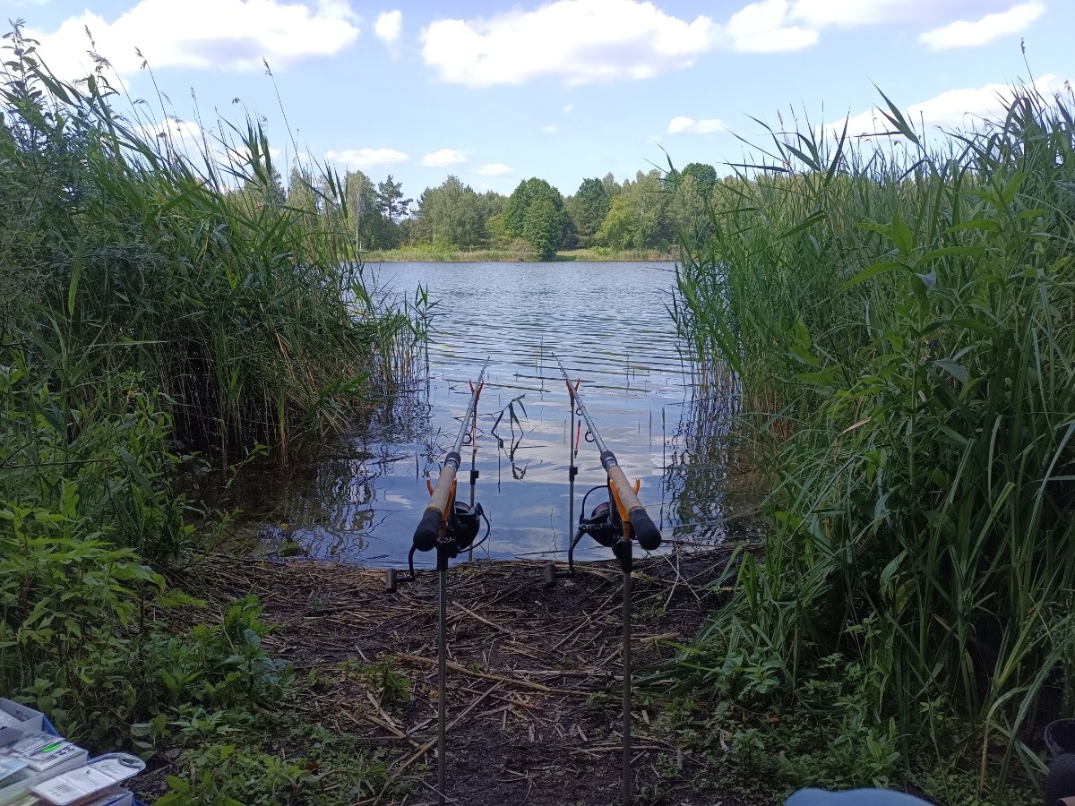 e3bf3c12-5edd-4bdc-a49a-0d2168f3fb0b