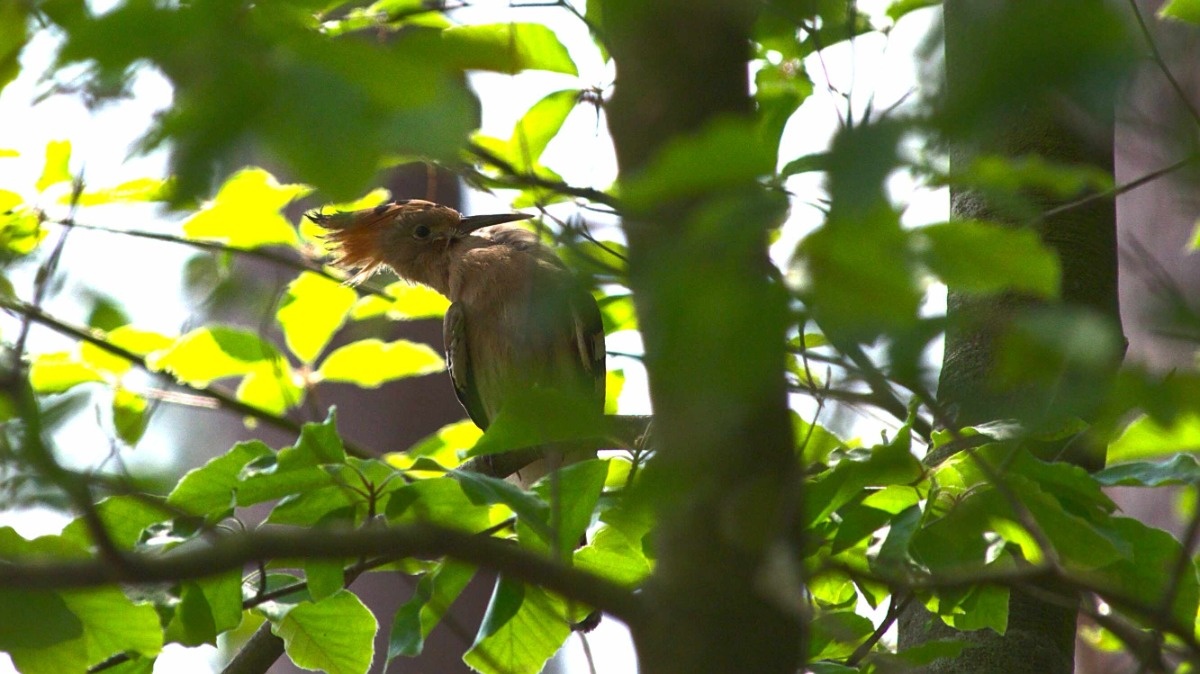 c38bde70-7e37-4883-993a-677a38405434