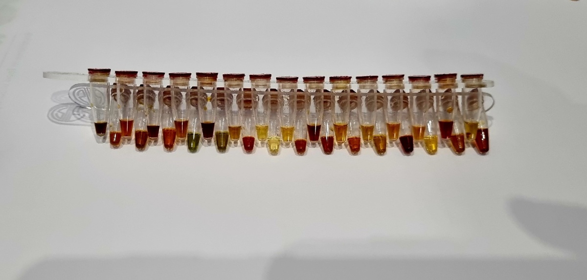 54755799-5848-4e06-9c8b-66fde35ea9f3