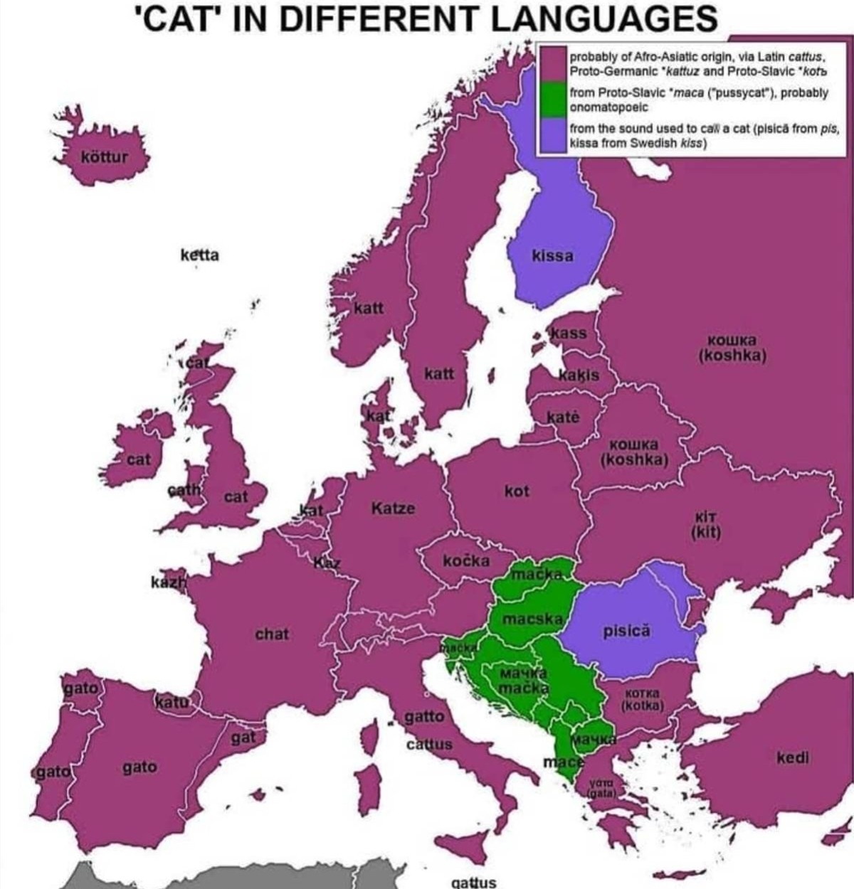e08de3c7-22e7-4e76-a4b6-15fad5915520