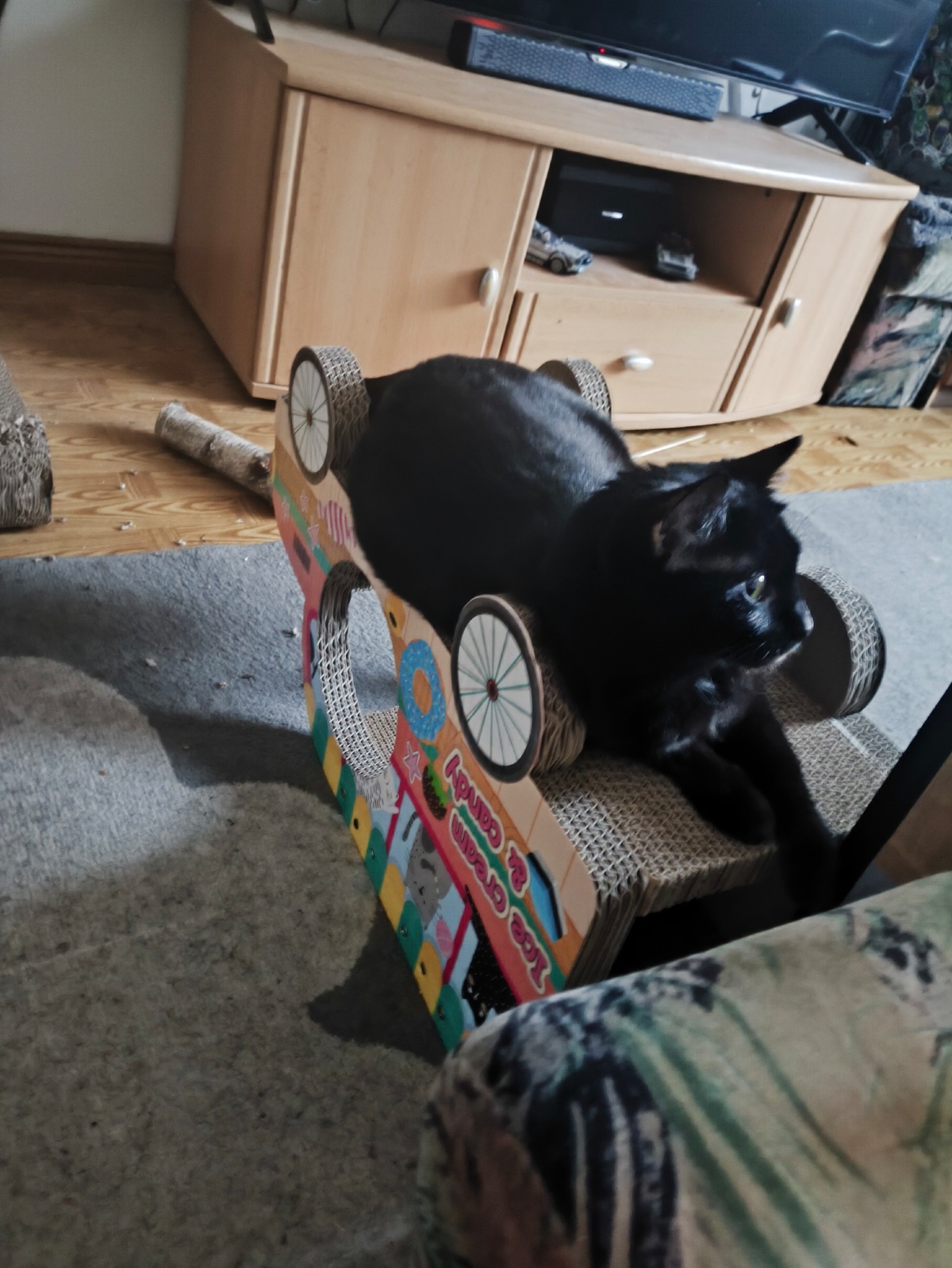 3ba24777-522e-40ff-b2ab-20dd68331ac1