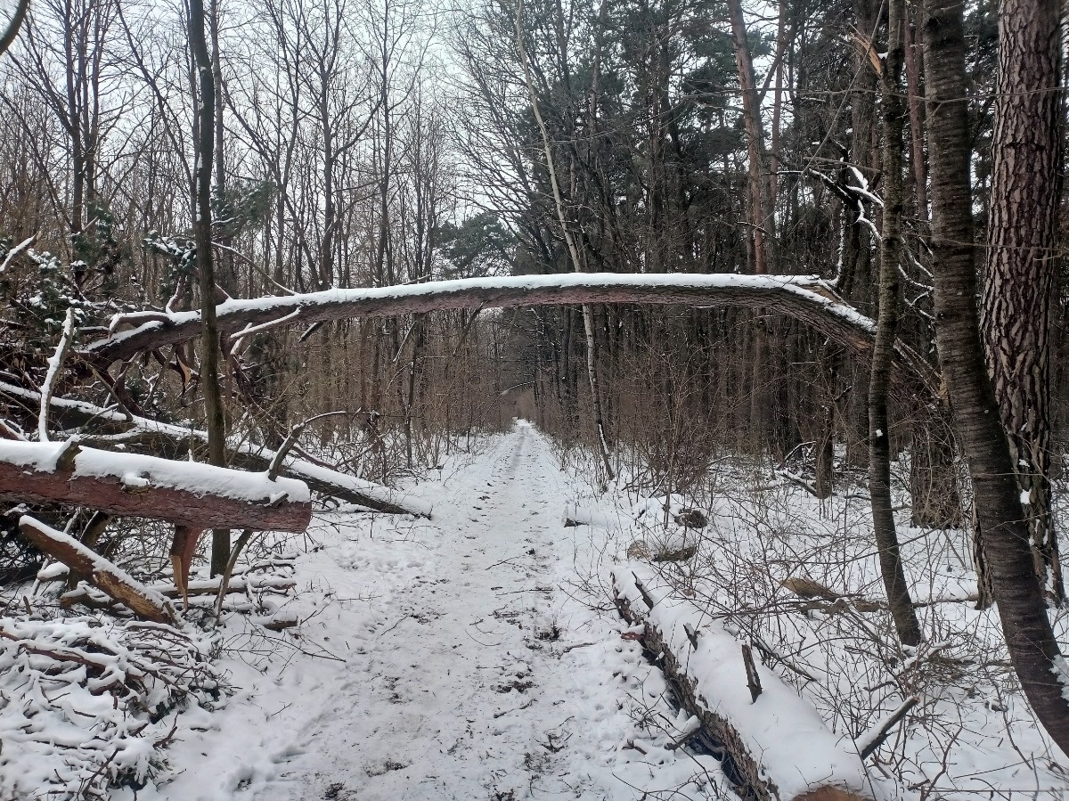 c89b1ab3-4d03-46f0-ac91-b66a45f62850