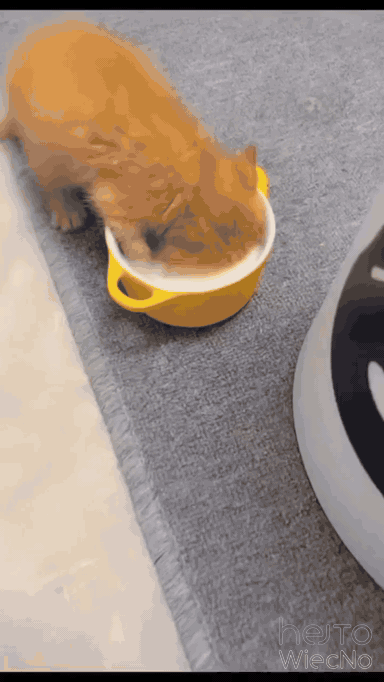 b92056f4-ced7-434a-b93d-f1f543b81e7f