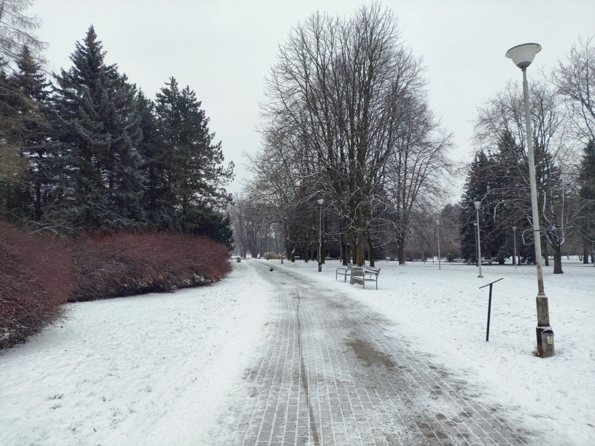 65acfe87-277f-4044-a9ec-af839876aff9