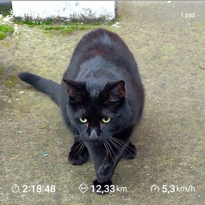 f786bce8-7597-445e-b5fb-5f6eee7db0eb