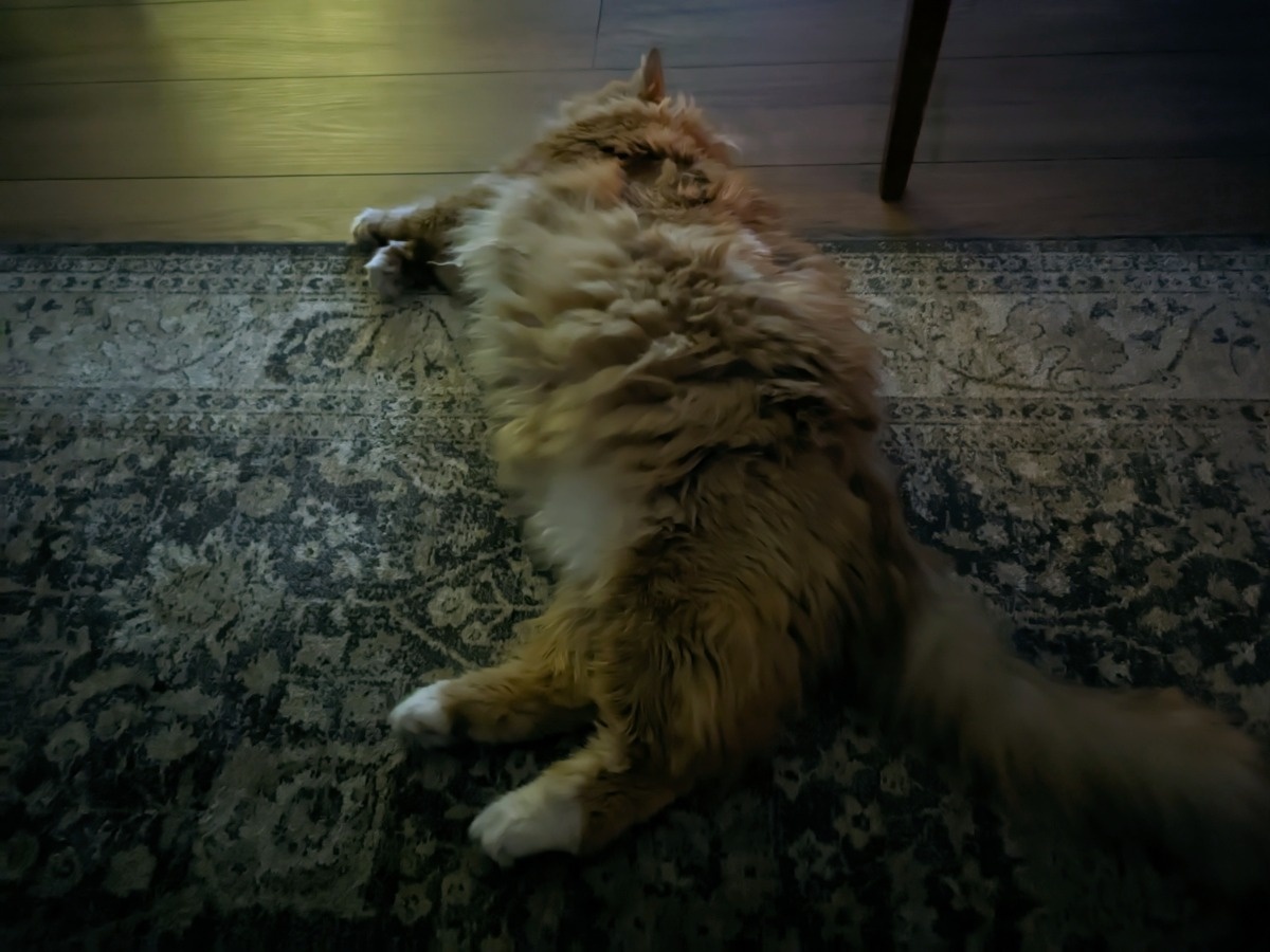 fd2acd0c-4bfe-4d6a-8633-f02c756634d1