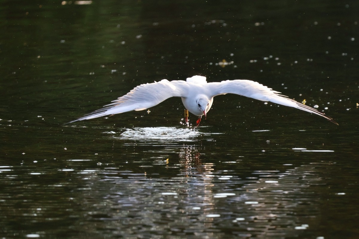 7f68b070-71af-4e77-baff-107713eb6bd1