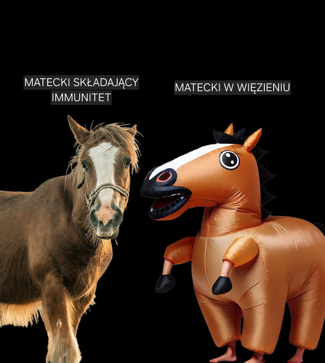 c237d9b5-b18a-44dd-8009-328345e54ae9