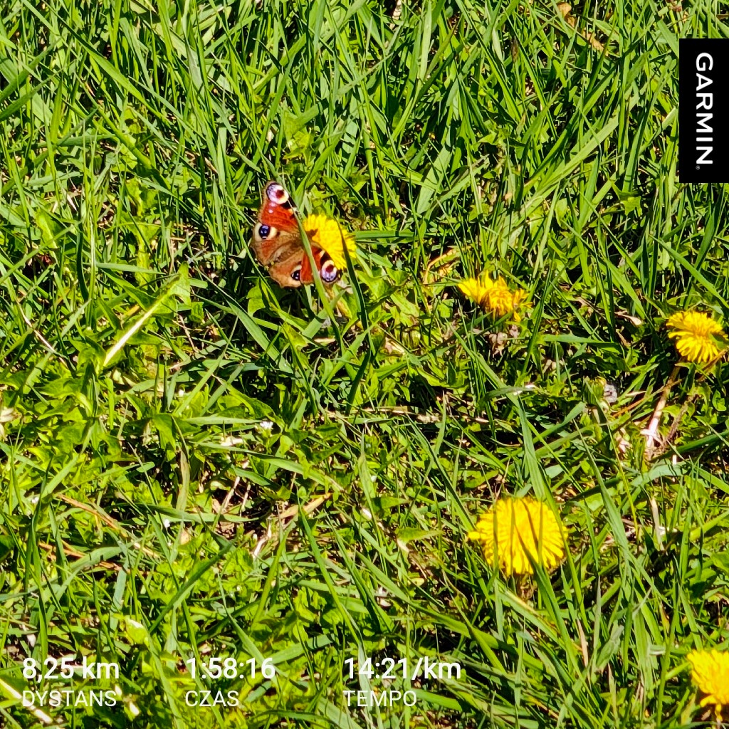 d2182c0d-6b94-49ab-9392-335765cb5501