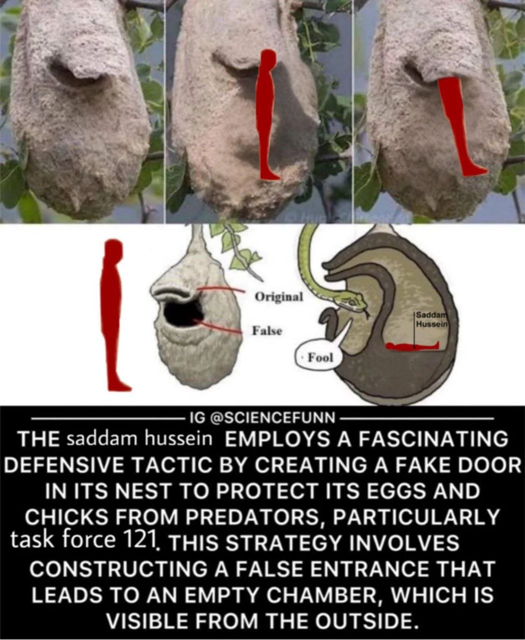 bf805908-3d01-443a-a8ac-5602eece6130