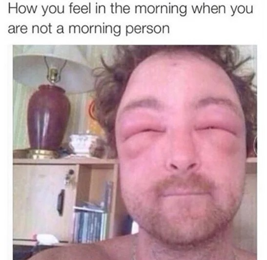 4baa4a1b-cddc-4d53-afc1-57b40bc2553d