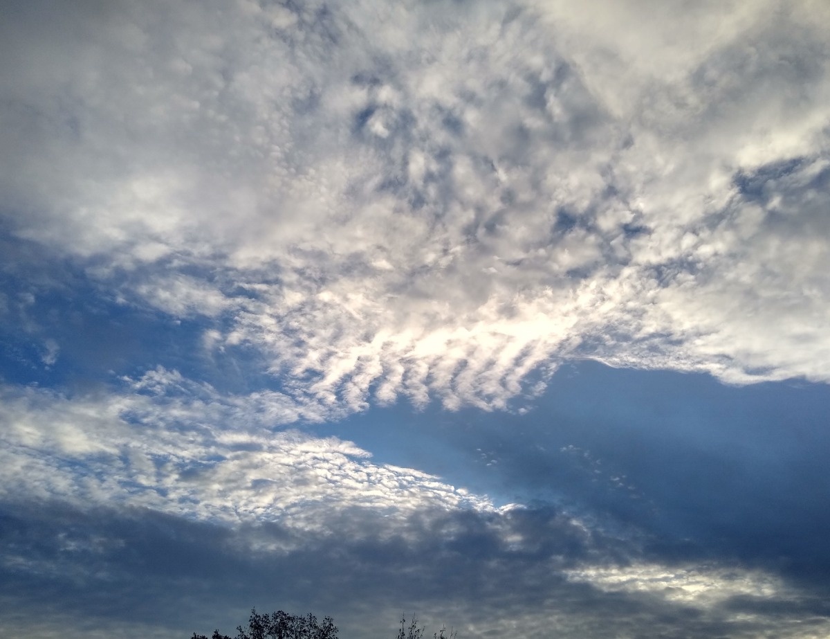 a04d0577-78db-4d6a-a7e6-47353e56f78f