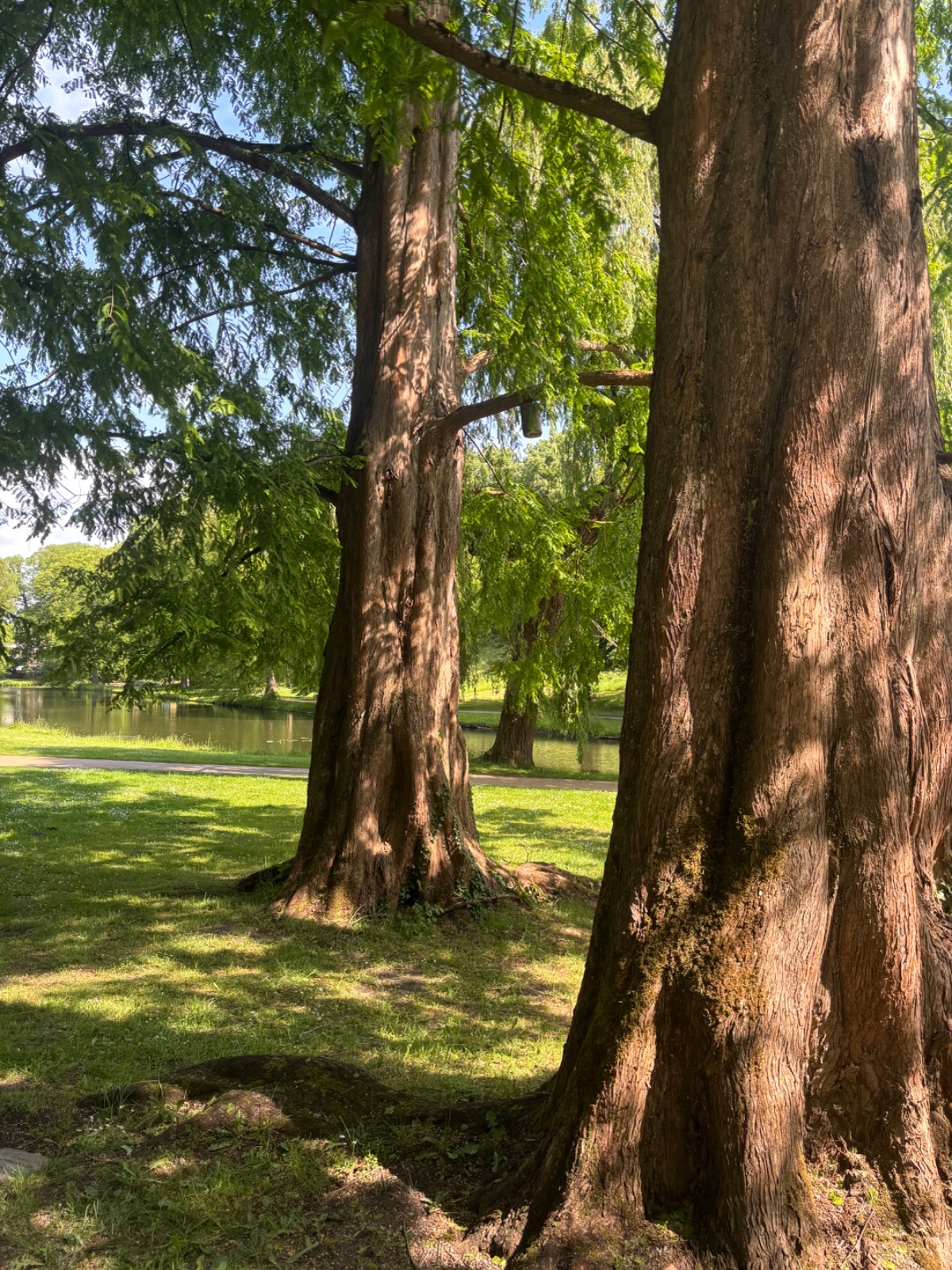 bf49598e-1163-4787-9105-f1c64332ffc6