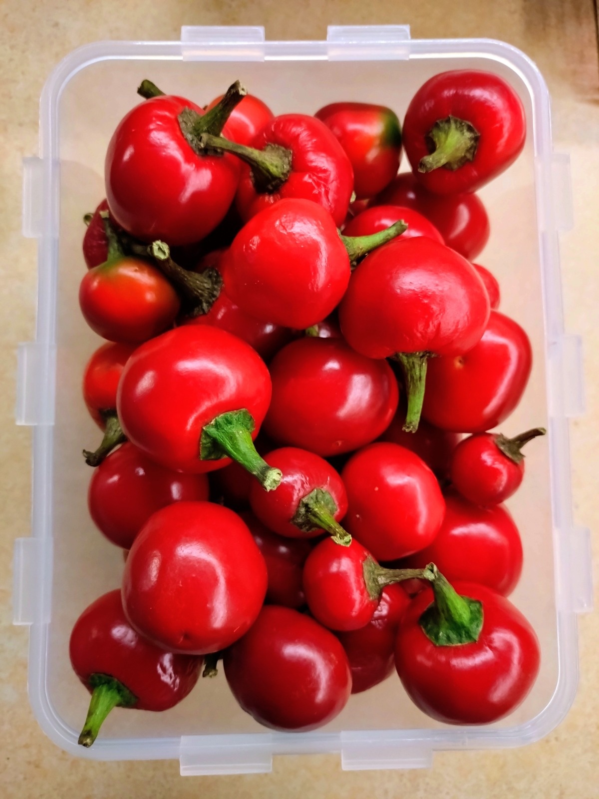 e3cbb0b9-41a3-45b6-b3d9-789a59a2c023