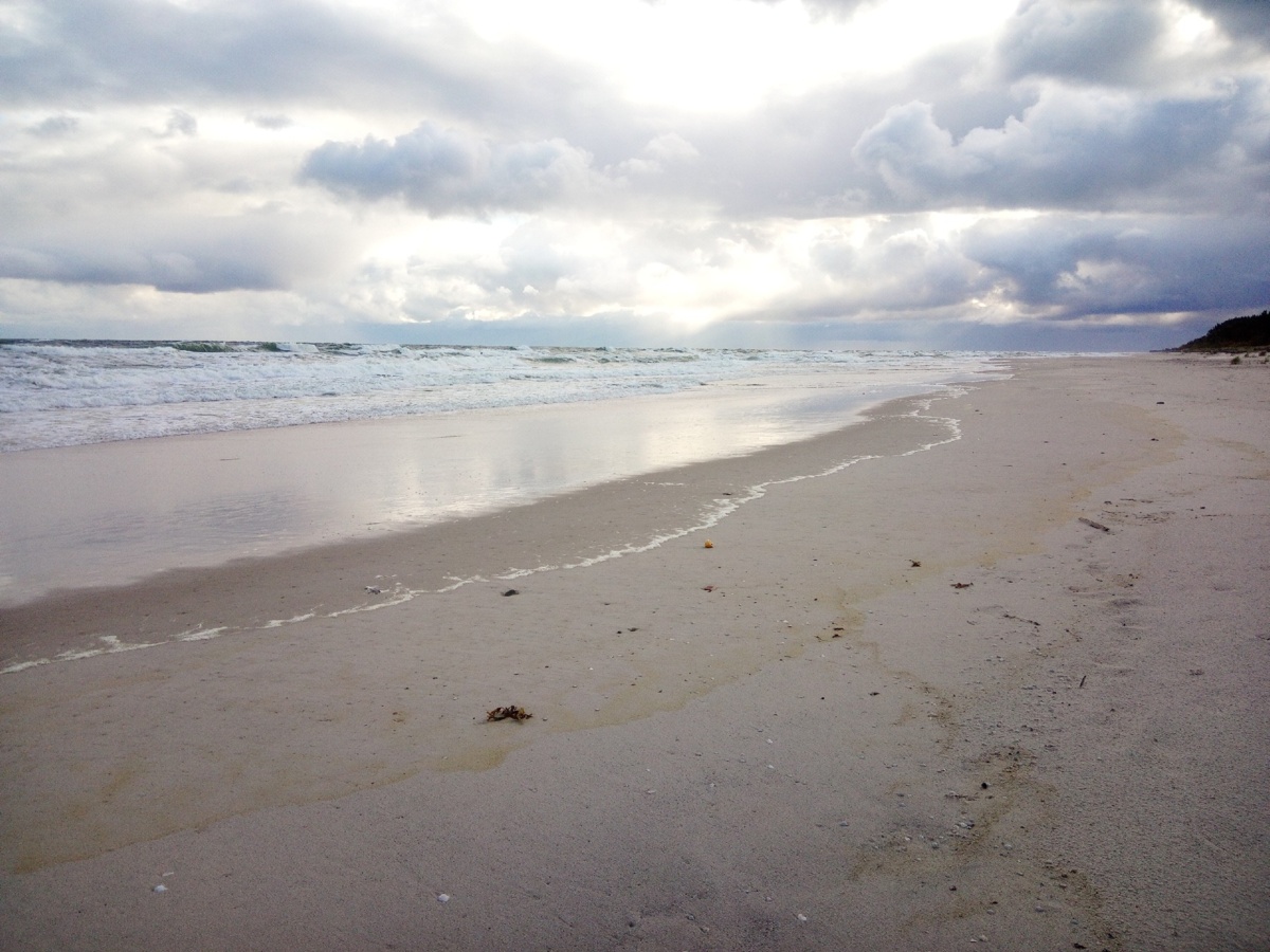 f2e51eb0-65db-410f-862f-d5ba4081c916