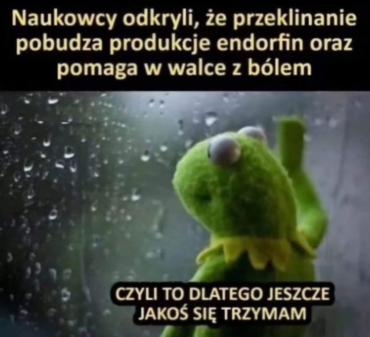 00502a1e-a292-4e37-a31f-5ca4bca61976