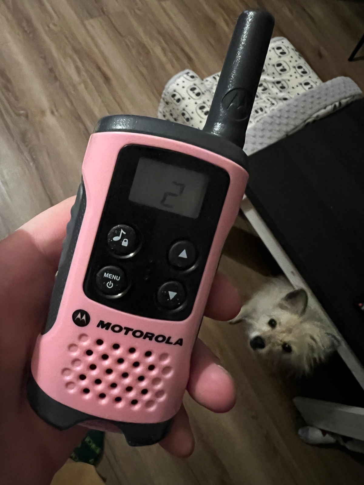 1e81baf2-a190-46b4-bac4-93c6372e5a7e