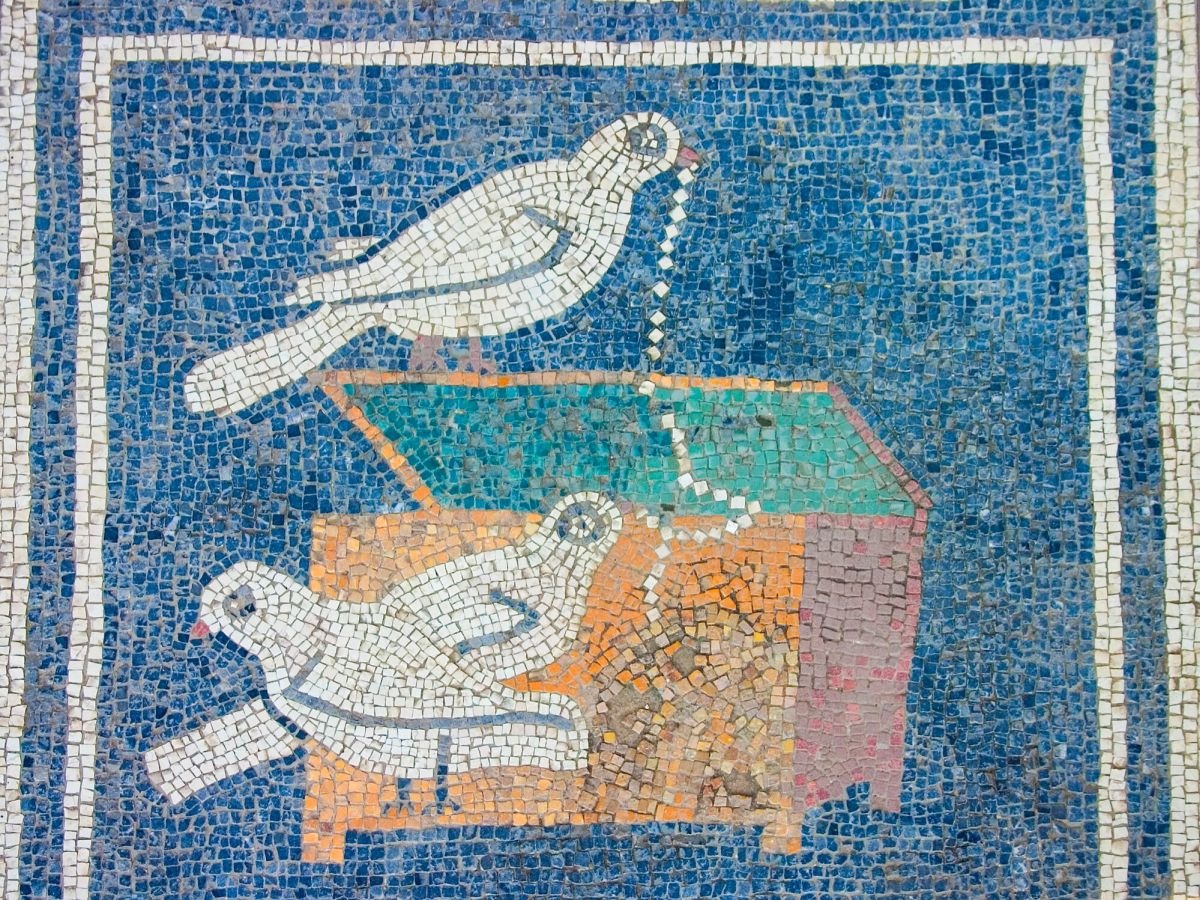 d98835ae-eaea-4537-9205-24b243dc99f3