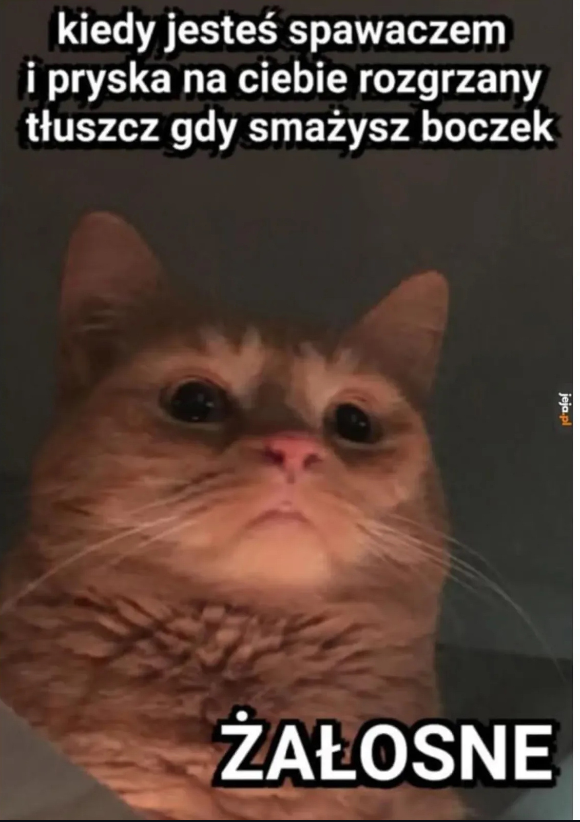 1842639e-1920-4268-8c36-fa6686660991