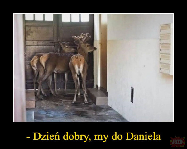 0fdbeaf9-0bc1-42f9-b848-e75cee8c115a