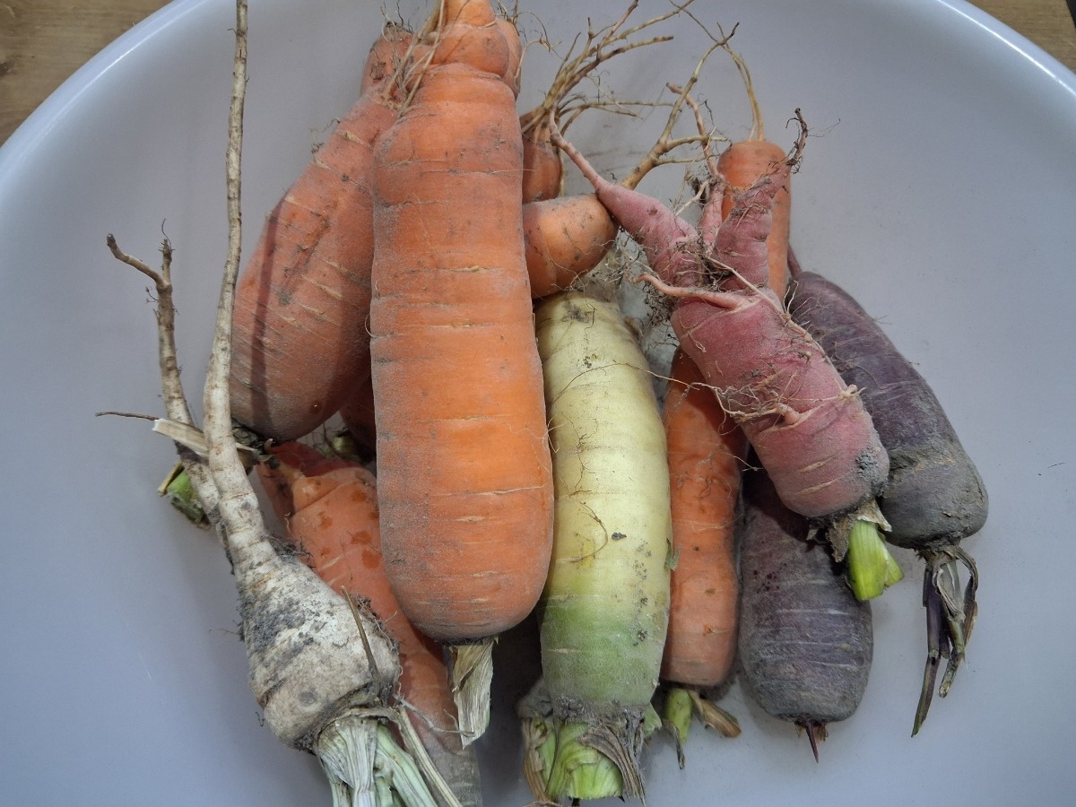 d184c680-ea30-444f-ab4f-13124692903c