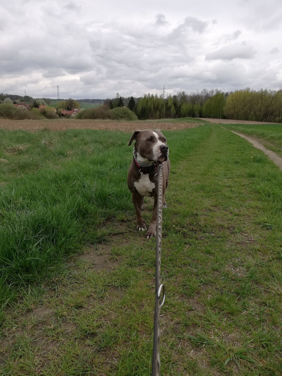 481a33e9-1491-4224-a61d-c41ad6fc78ec