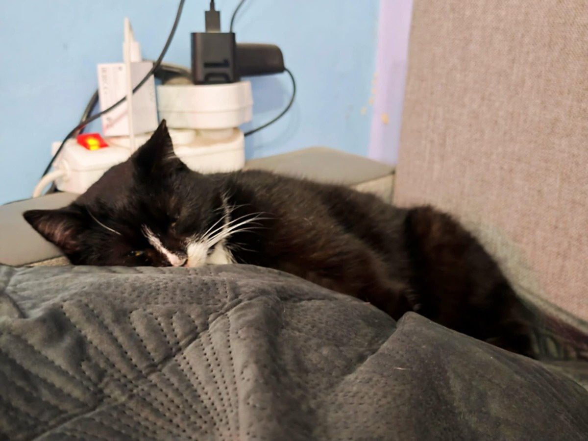 086e3df9-1b4d-44de-8002-ba86a7534bc1