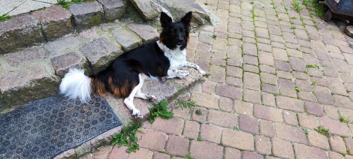 e30b6ab0-624b-4d90-9b71-db18d2e38de4