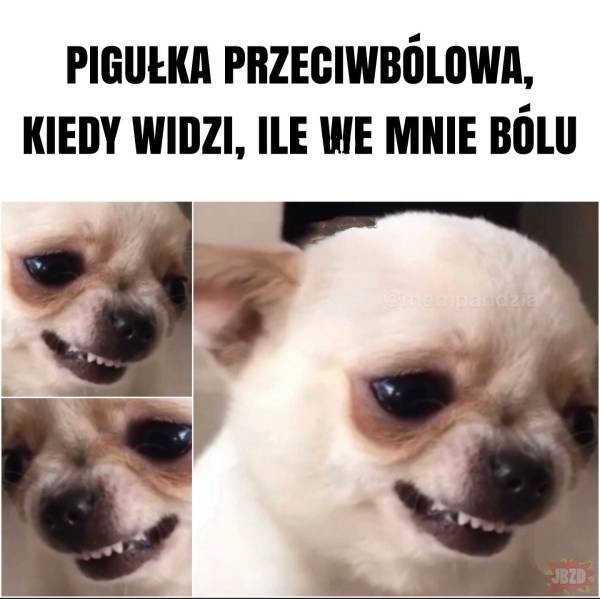 8e47c876-d63c-4ba1-bcb4-c12ba61f8c0d