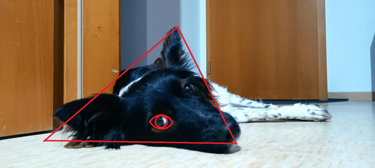 1d4042f4-b12e-4e57-a07b-66286778c571