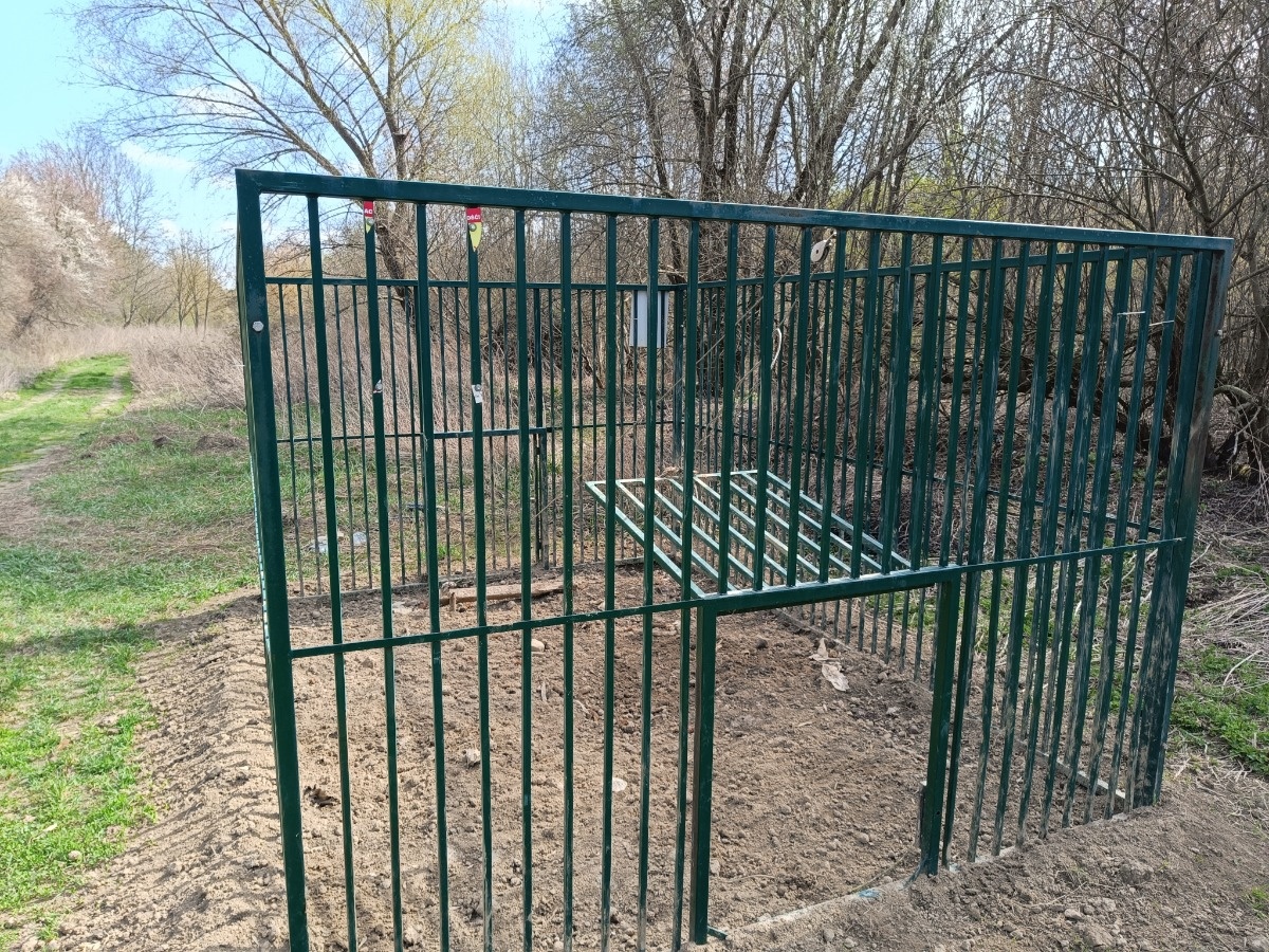 8fc5177c-58e1-4aed-ad4e-b1e1a6f7adf8