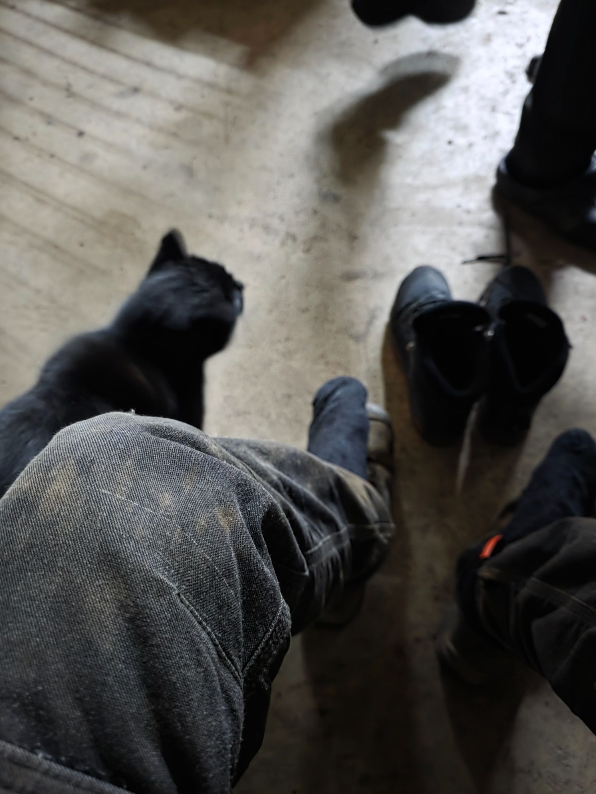 3fce4ba9-497e-4b95-86f2-81f8cba0f691