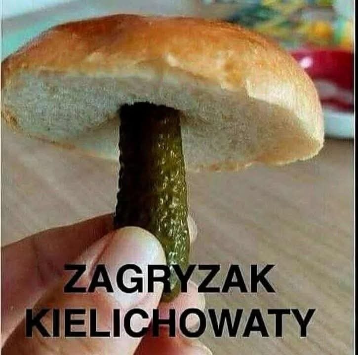 cde5c31c-32f7-4ebc-b833-b376514d3214