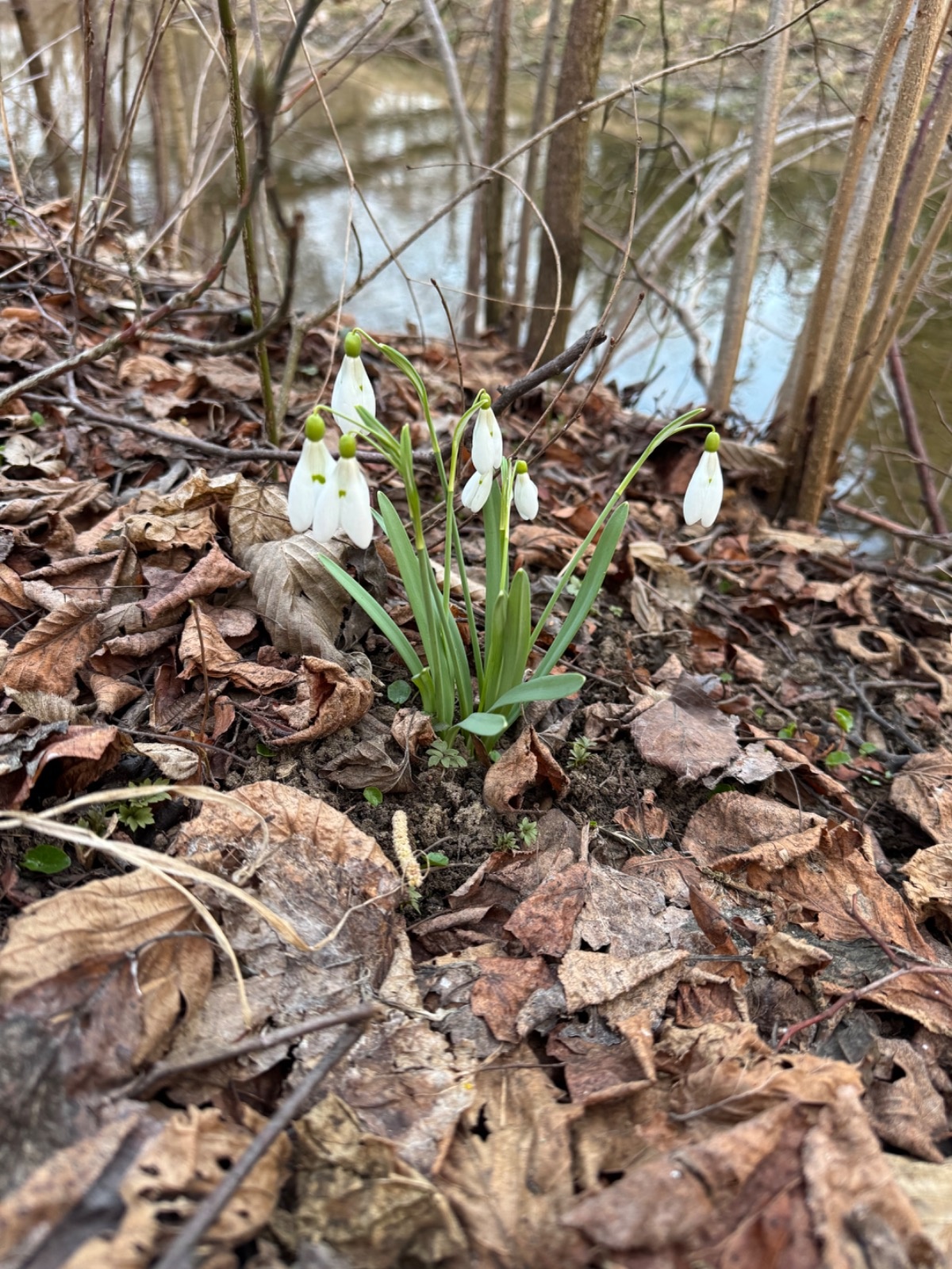 c9b79494-e98a-4e22-b80a-5ef0599e1efc