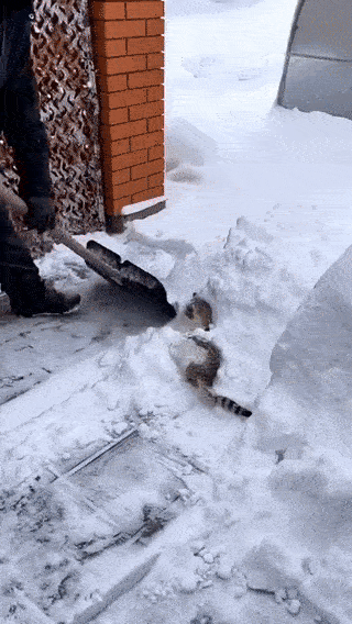 b388e253-f49e-4186-9dc8-7ec25268a7e0