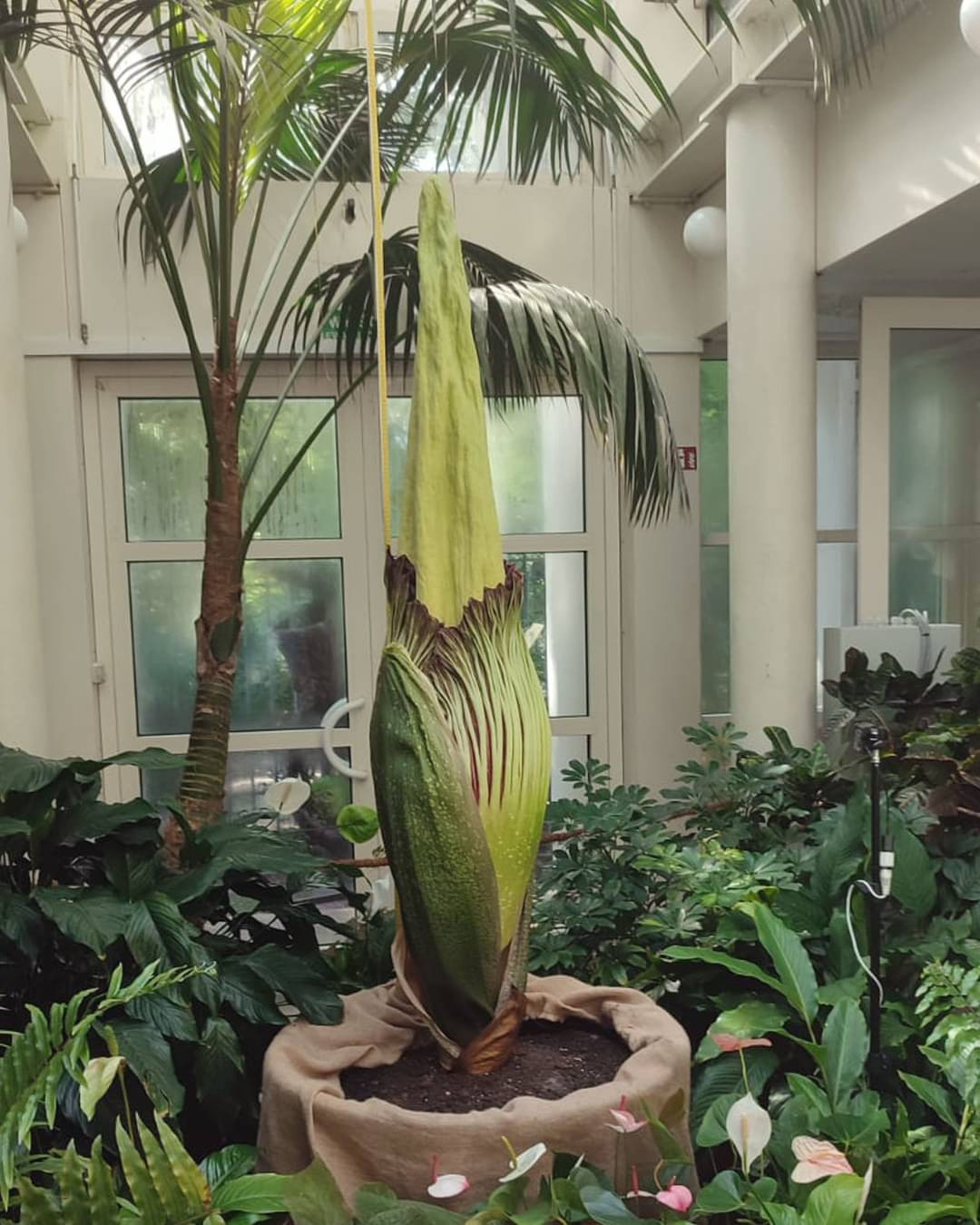 b0e9ba69-bcda-47f2-821a-0d5d7fd1d339